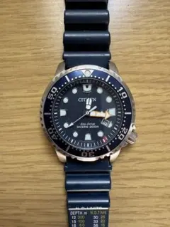 citizenプロマスター