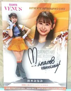 Item thumbnail for item 0995d685-28e6-46be-929a-592933875a80