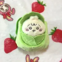 ちいかわ　ちいかわベビー　キャベツ　マスコット　うさぎ ぬいぐるみ