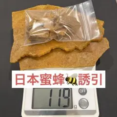 Item thumbnail for item fe220a0f-cb8b-463c-9804-bc2b68580233