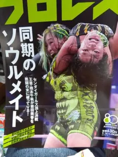週刊プロレス 最新号　仙女凄い❗️