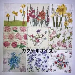 Item thumbnail for item 26d9bfe1-18a7-4f70-a81d-e5c7f8dc2f5b