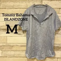 Item thumbnail for item 5b3de447-ed08-413f-bb9d-4b6d860d1929