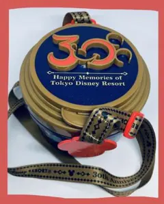 【希少】ポップコーンバケツ 東京ディズニーランド 30th