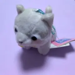 【まとめ買い対応】豆しば三兄弟 銀二 ぬいぐるみ マスコット 秋田犬