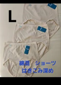 ひ*ん様 25797 トリンプ　スロギー　ショーツ　3枚　　ベージュ　L　マキシ