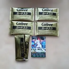カルビー プロ野球カード5枚セット