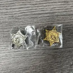 ディズニーランド　シューティングギャラリー 金銀セット ドナルドダック