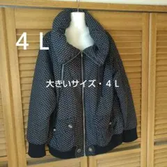 大きいサイズ ブルゾン