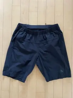 ザノースフェイスショートパンツ