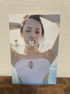 Item thumbnail for item 0ee83397-f4d0-4d04-8620-dc2df83f0293