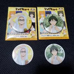 ハイキュー!! アニメイト 缶バッジ 特典 ビジュアルカード 山口 月島