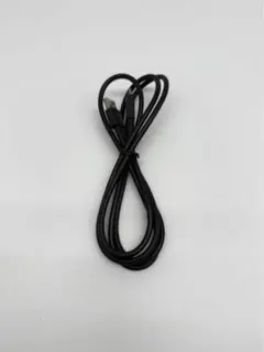 【動作品】 任天堂 純正USBケーブル タイプAtoC