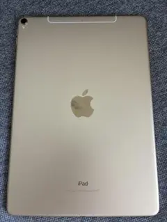 SIMフリー10.5 iPad Pro Cellular 64GB
