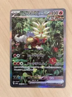 2026年最新】ウガツホムラex sarの人気アイテム - メルカリ