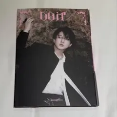 ※開封済※Straykids スキズ DO IT ACCORDION チャンビン