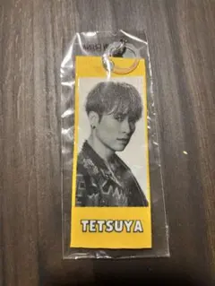 TETSUYA キーホルダー EXILE THE REASON