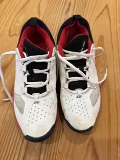 YONEX テニスシューズ ホワイト レッド 106のサムネイル
