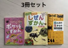 Item thumbnail for item 56daac0a-2ad9-4c52-bbcf-9992122d995b