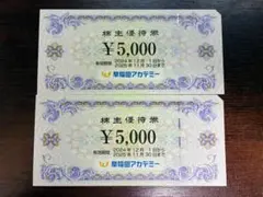 送料無料◆早稲田アカデミー株主優待券5，000円券1枚　2023.11末まで有効★5000円券 早稲田アカデミー 株主優待券 25000円分