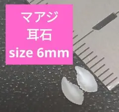 マアジ 耳石 お守りパワーストーン天然石宝石開運受験F48