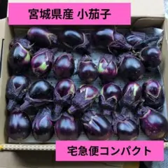 宮城県産 小茄子 コンパクト 家庭菜園のサムネイル