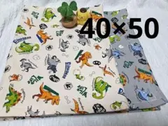 40×50☆2枚組☆恐竜柄ランチョンマット
