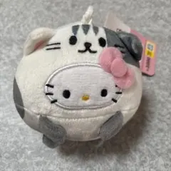 ハローキティ 柴犬ぬいぐるみ 約30cm ハローキティ 柴犬ぬいぐるみ 約30cm 【公式通販】