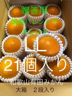 2箱セット 贈答用 国産バレンシアオレンジ L 4kg 和歌山県有田みかん 2箱セット贈答用 国産バレンシアオレンジ LL 4kg 和歌山県有田みかん