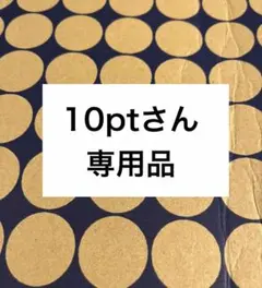 10ptさん 専用品