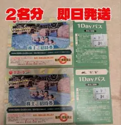東京サマーランド　チケット　ワンディパス　1Dayパス 夏季利用可能　2名分のサムネイル