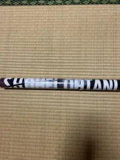 Item thumbnail for item e7c8e1f7-0d6d-4b8e-967c-8b54366af81c