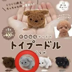 てのひらサイズのトイプードル ガチャ