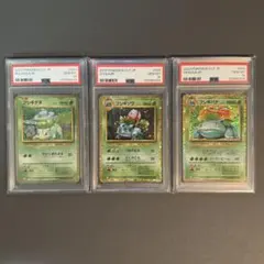 【PSA10】フシギバナ進化ライン 3連番セット