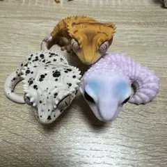 いきもの大図鑑ソフビコレクションレオパとクレスクレステッドゲッコー 3種セット