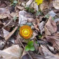 りえこ様 リクエスト 2点 まとめ商品