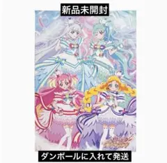 わんだふるぷりきゅあ プリティストアオンライン限定 プリティ袋 B2ポスター