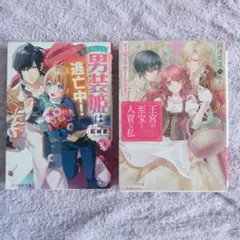 男装姫は逃亡中！と王宮の宝室と人質な私
