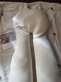 Item thumbnail for item 859af2ea-504f-4eb2-8a0f-1fdf5dae10be