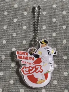 今宮健太 スポーツ選手