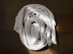 Golden Bear 水色Vネック ベスト