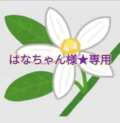 訳ありデコポン◆はなちゃん様☆専用