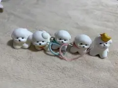 ビションフリーゼ　ガチャガチャ　びしょふりさんぽ　５個セット