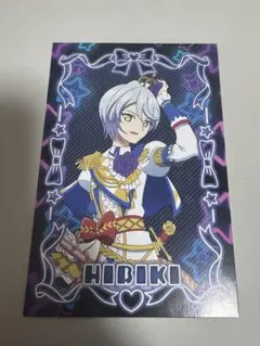 プリパラ 大プリパラ展　耐水強化性タペストリー　未開封 紫京院ひびき プリパラ 大プリパラ展 耐水強化性タペストリー 未開封 紫京院ひびき