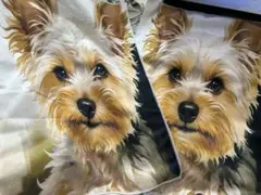 Item thumbnail for item 76ee9a60-af18-4988-8799-01c74608e918