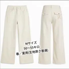 Item thumbnail for item 3b8505bb-8bf7-40c4-b6d1-ac8bb04635f6