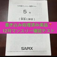2025年最新】サピックス マンスリー 4年の人気アイテム - メルカリ