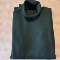 Item thumbnail for item 14f6b73c-d070-426e-a0fc-e748ff5df4bc