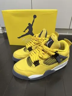 Air Jordan 4 Thunder 27.0cm