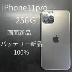 極美品 iPod classic A1238 120GB 新品電池 パネル - メルカリ